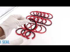 Joints d'étape du joint HBTS de SPGO Glyd